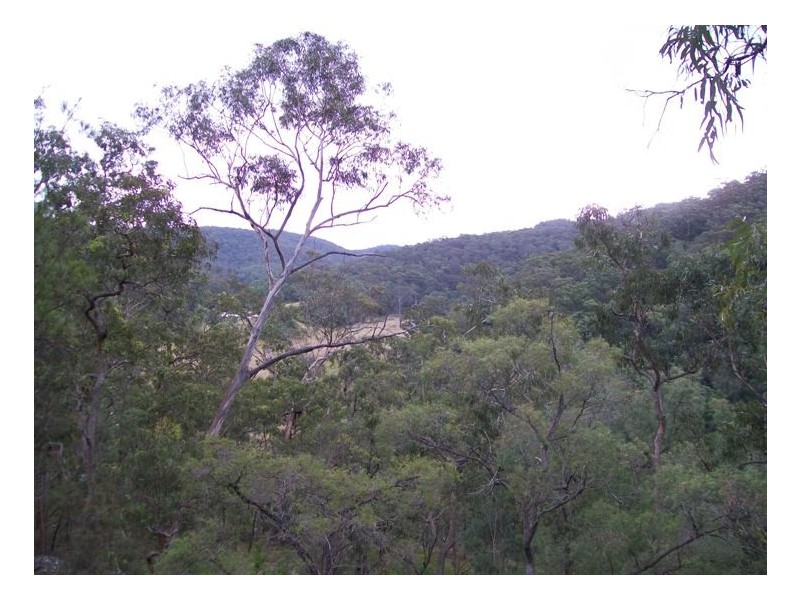 Lower Portland NSW 2756