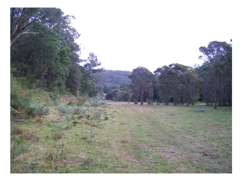 Lower Portland NSW 2756