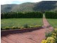 Laughtondale NSW 2775