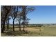 Wilberforce NSW 2756