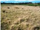 Wilberforce NSW 2756