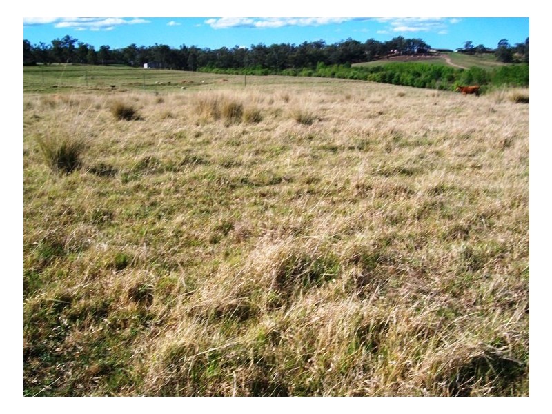 Wilberforce NSW 2756