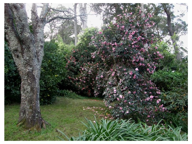 Kurrajong Heights NSW 2758