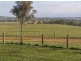 Gulgong NSW 2852