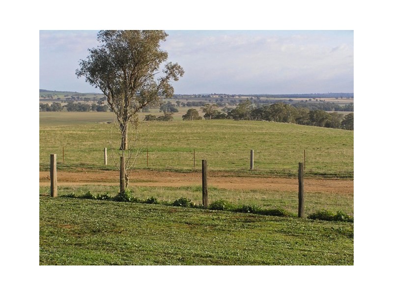 Gulgong NSW 2852