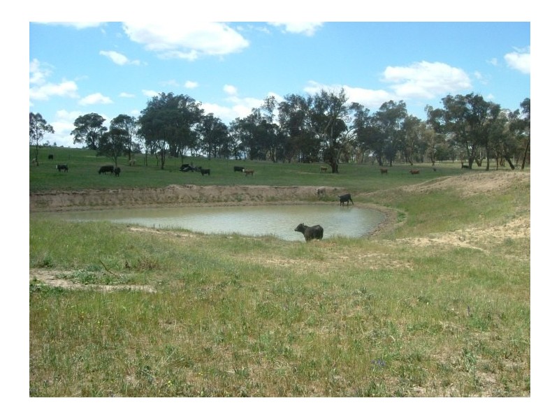 Bathurst NSW 2795