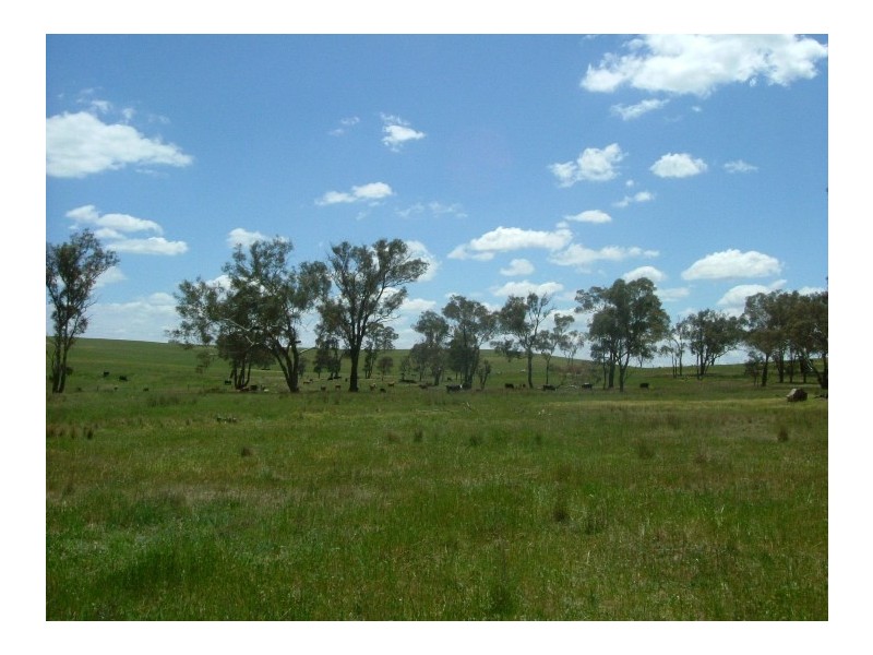 Bathurst NSW 2795