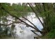 Cornwallis NSW 2756