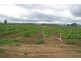 Cornwallis NSW 2756
