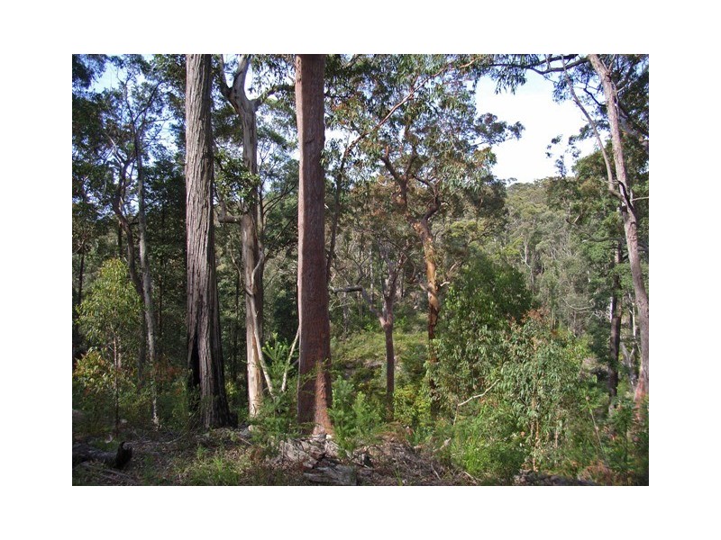 Mountain Lagoon NSW 2758