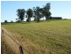 Luddenham NSW 2745