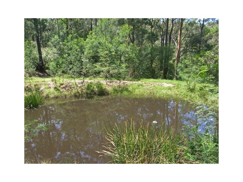 Colo Heights NSW 2756