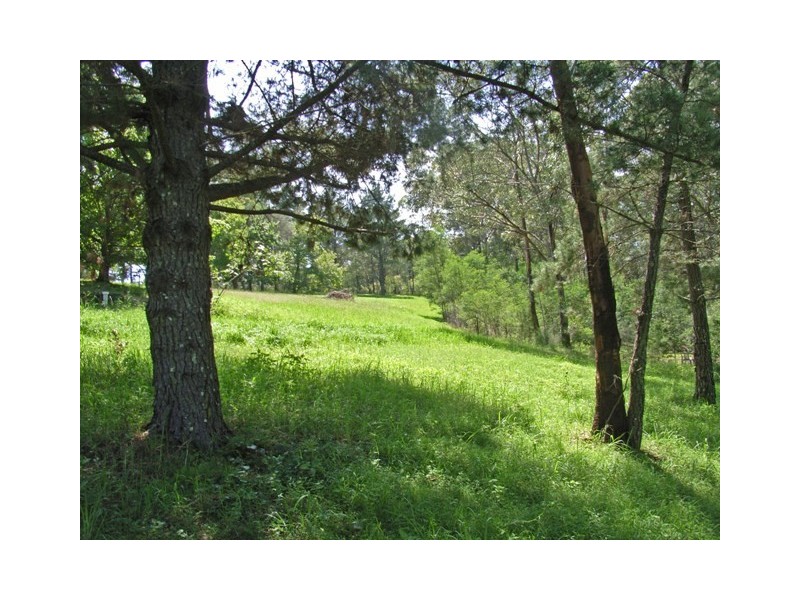 Colo Heights NSW 2756