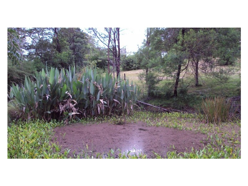 Kurrajong Hills NSW 2758