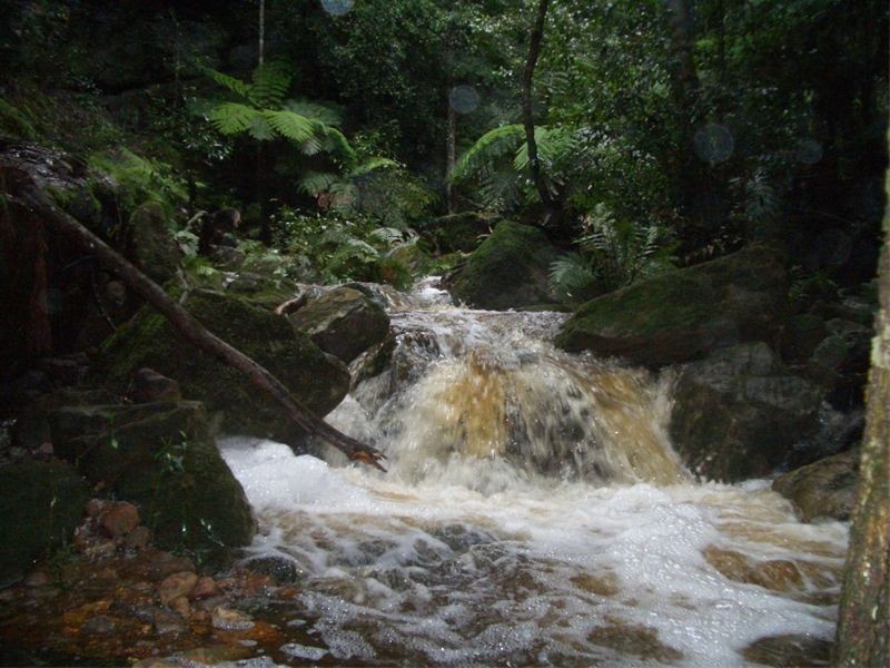 Kurrajong Hills NSW 2758