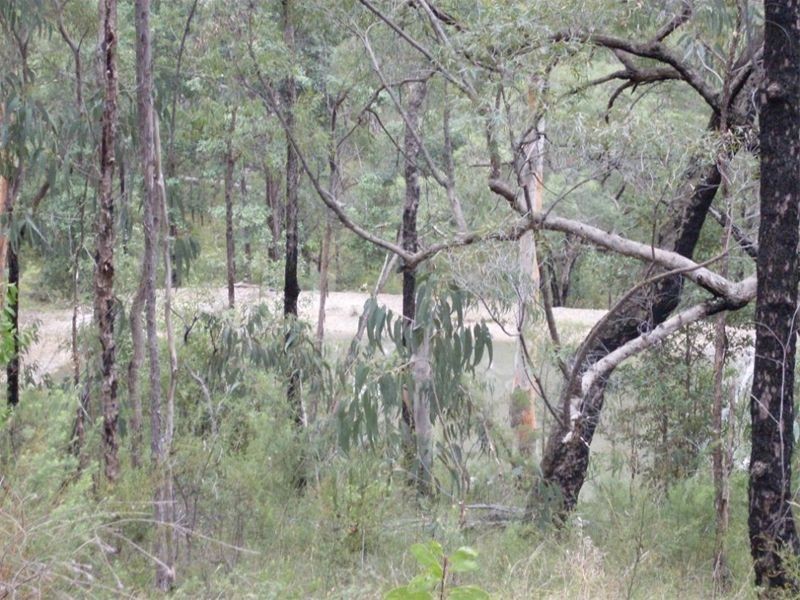 Lower Portland NSW 2756