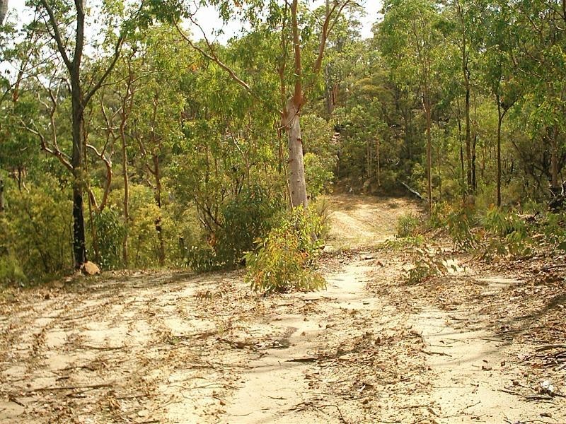 Putty NSW 2330