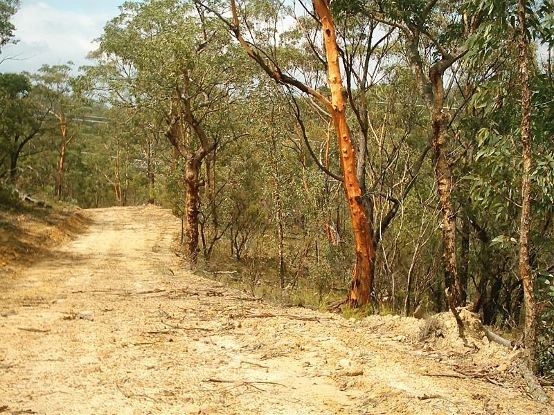 Putty NSW 2330