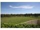 Raymond Terrace NSW 2324
