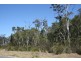 Medowie NSW 2318