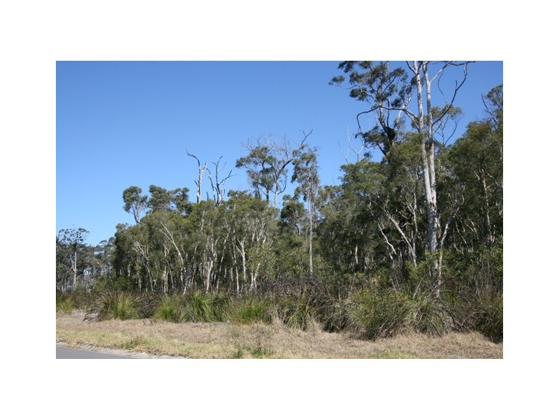 Medowie NSW 2318