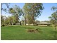 Medowie NSW 2318