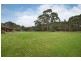 Williamtown NSW 2318