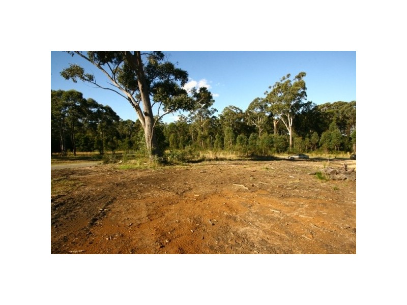 Medowie NSW 2318