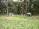 Medowie NSW 2318