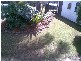 Medowie NSW 2318