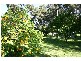 Medowie NSW 2318