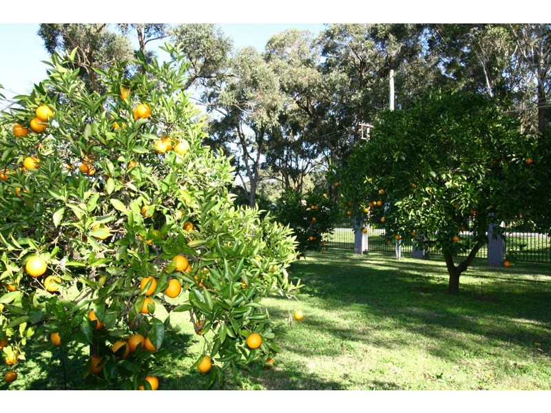 Medowie NSW 2318