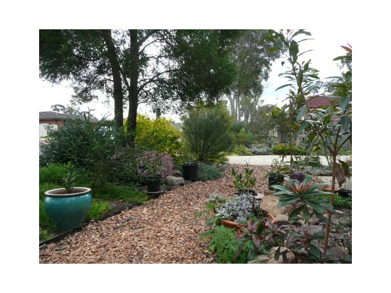 Medowie NSW 2318