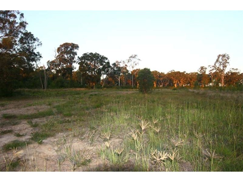 77 Radford Street, Cliftleigh NSW 2321