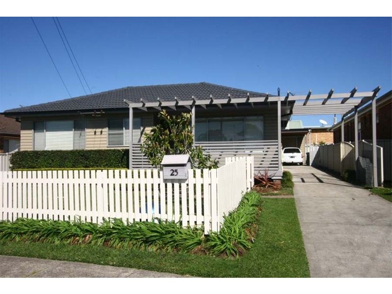 25 Weingartner Avenue, Tarro NSW 2322