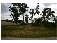 Metford NSW 2323