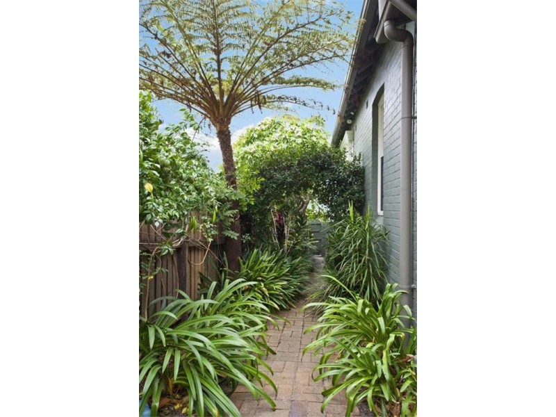 1 Prospect Street, Waverley NSW 2024