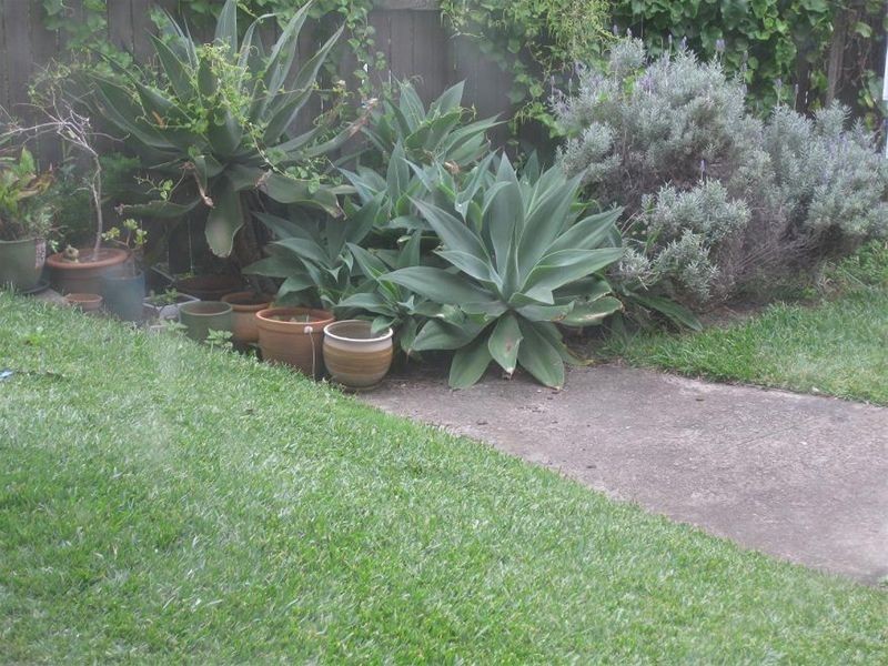 1/2 Bayview Street, Bronte NSW 2024