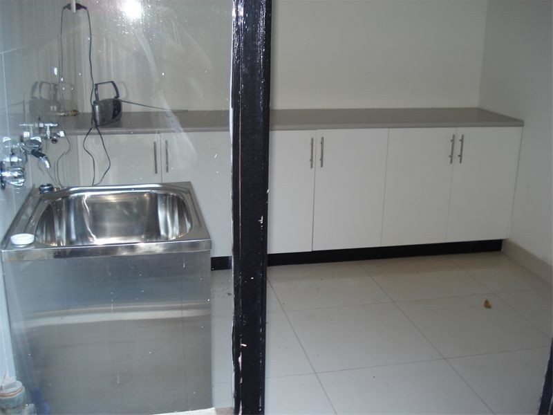 22 Campbell Avenue, Paddington NSW 2021