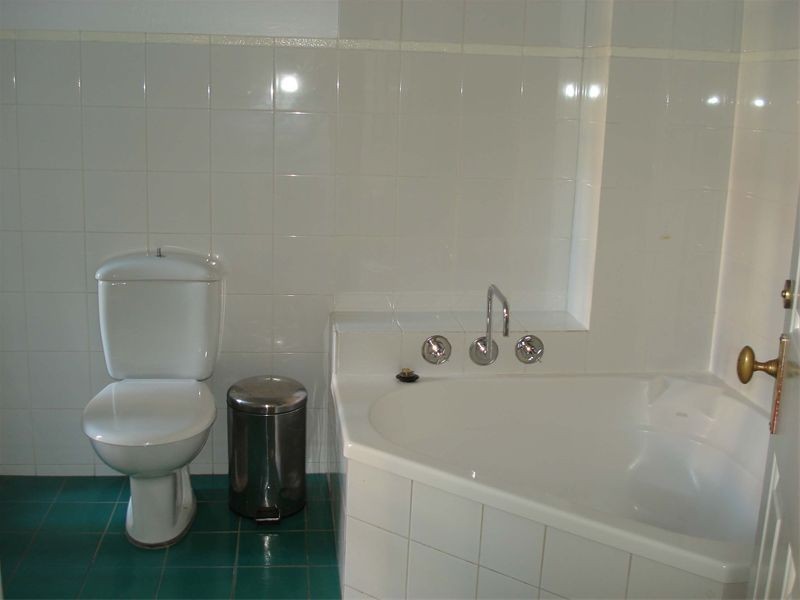 31 Underwood Street, Paddington NSW 2021