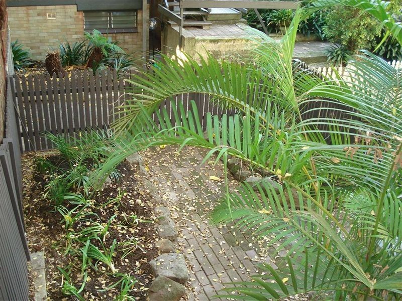 31 Underwood Street, Paddington NSW 2021