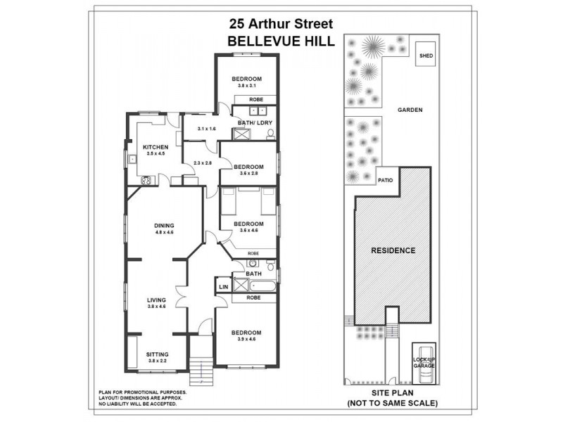 25 Arthur Street, Bellevue Hill NSW 2023