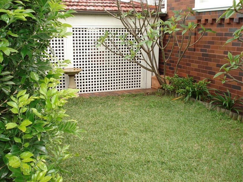 49 Campbell Street, Waverley NSW 2024