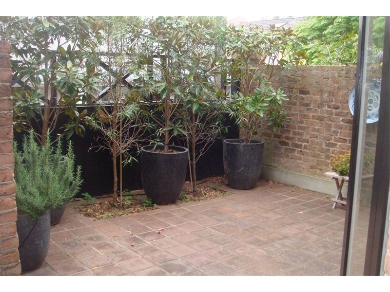 11 Alton Street, Woollahra NSW 2025