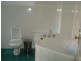 31 Underwood Street, Paddington NSW 2021