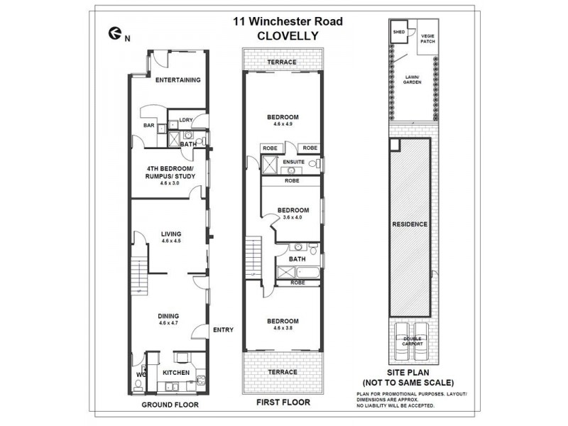 11 Winchester Road, Clovelly NSW 2031