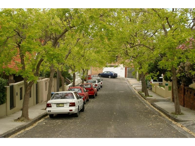 8 Lugar Brae Avenue, Bronte NSW 2024