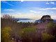 5/422 Edgecliff Road, Woollahra NSW 2025