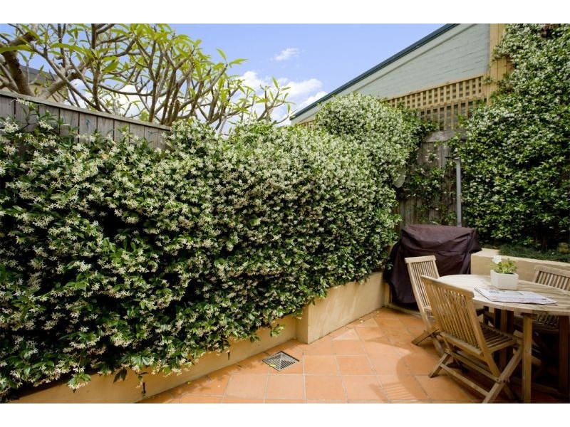 6 Walter Street, Bondi Junction NSW 2022