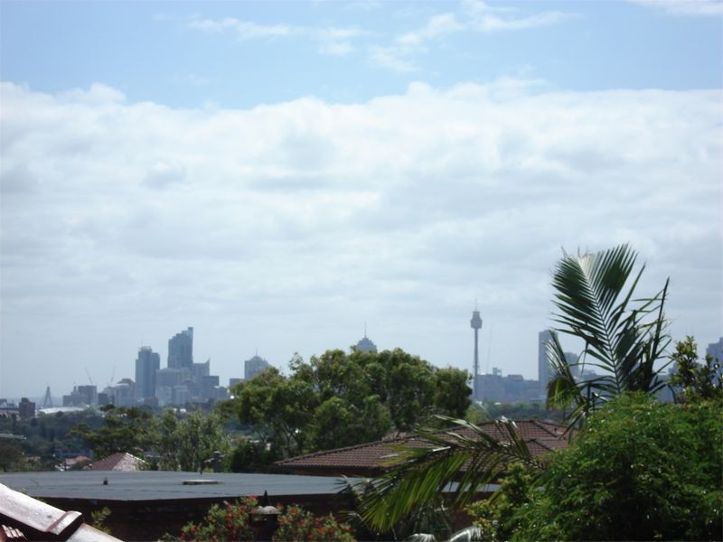 3/33 Albion Street, Waverley NSW 2024